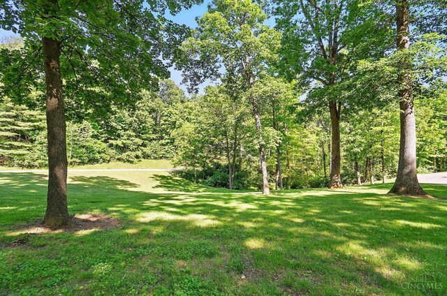 10885 Mockernut Dr, Harrison Twp, OH 45030 - photo 55