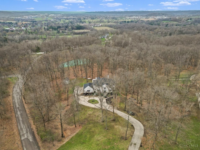 10885 Mockernut Dr, Harrison Twp, OH 45030 - photo 63