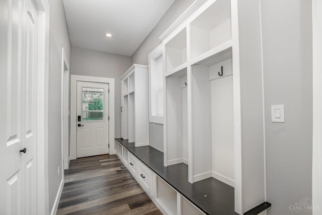 4226 Chambers St, Cincinnati, OH 45223 - mudroom with baseboards, dark wood-type flooring, and recessed lighting