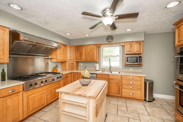 6290 Ludlum Rd, Salem Twp, OH 45152 - kitchen with a sink, appliances with stainless steel finishes, wall chimney exhaust hood, wooden counters, and a ceiling fan