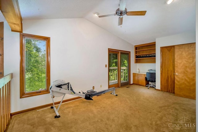 4723 Rosedale Rd, Middletown, OH 45042 - exercise area featuring lofted ceiling, light colored carpet, healthy amount of natural light, and a ceiling fan