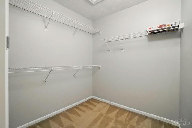 6872 Sandharbor Ct, Hamilton Twp, OH 45039 - spacious closet with carpet floors