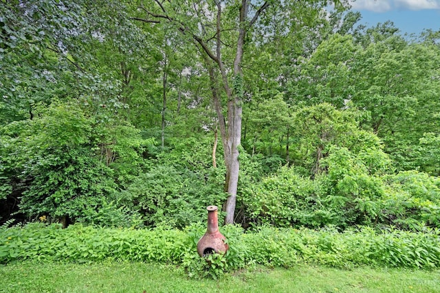 4048 Durango Green Dr, Miami Twp, OH 45002 - photo 27