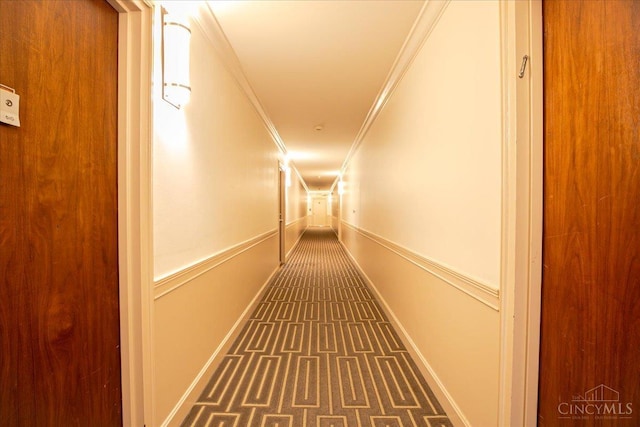 2324 Madison Rd Unit 506, Cincinnati, OH 45208 - hallway with ornamental molding and baseboards