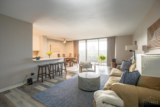 2324 Madison Rd Unit 506, Cincinnati, OH 45208 - living area with wood finished floors, a ceiling fan, a wall of windows, and baseboards