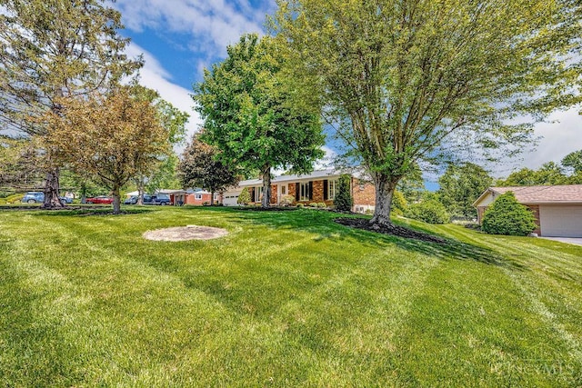 8714 Wuest Rd, Colerain Twp, OH 45251 - view of grassy yard