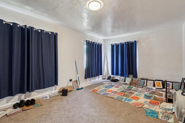3366 Wunder Ave, Cincinnati, OH 45211 - recreation room with a textured wall, carpet floors, and a textured ceiling
