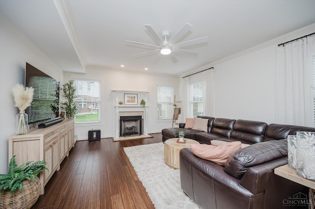 1171 Craig Ct, Hamilton Twp, OH 45039 - living area featuring ceiling fan, dark wood-style flooring, plenty of natural light, a fireplace, and ornamental molding