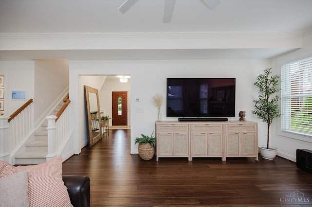 1171 Craig Ct, Hamilton Twp, OH 45039 - living area with stairs, dark wood finished floors, ceiling fan, baseboards, and crown molding