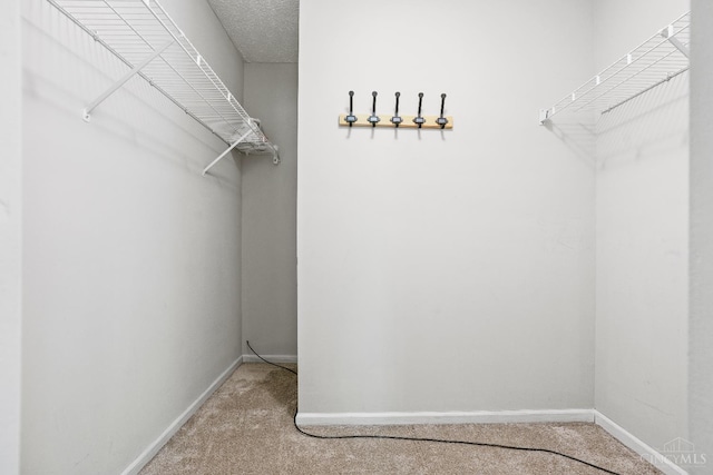 2020 Woodcreek Dr, Fairfield, OH 45014 - walk in closet featuring carpet floors