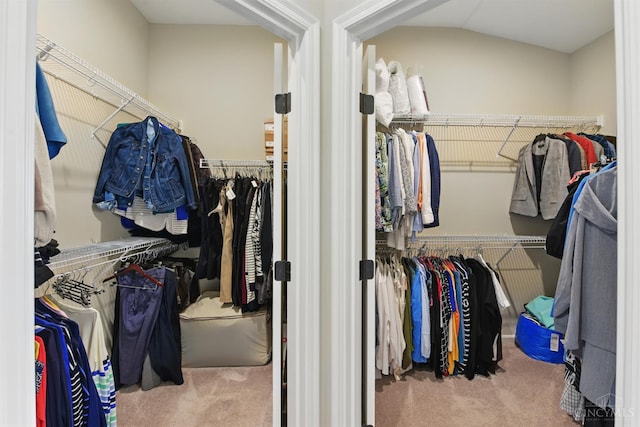 1387 Lake Run Dr, Turtle Creek Twp, OH 45036 - spacious closet with carpet