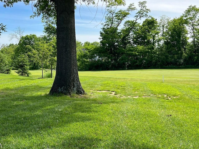1387 Lake Run Dr, Turtle Creek Twp, OH 45036 - view of green lawn