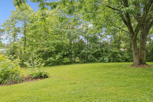 9488 Daugherty Marks Rd, Clark Twp, OH 45130 - view of grassy yard