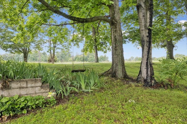 9488 Daugherty Marks Rd, Clark Twp, OH 45130 - view of green lawn