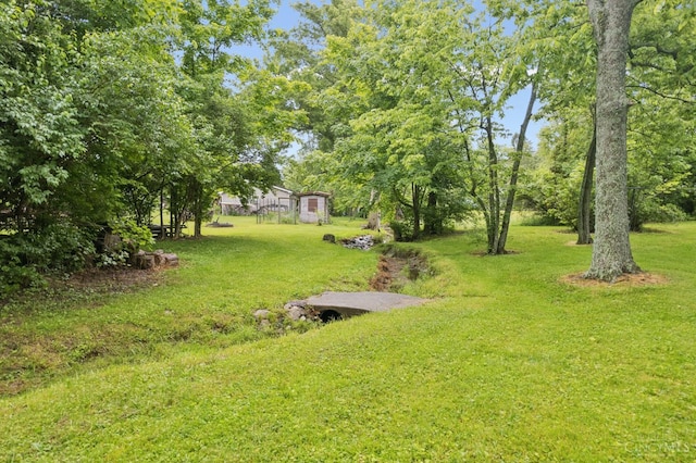 9488 Daugherty Marks Rd, Clark Twp, OH 45130 - view of grassy yard