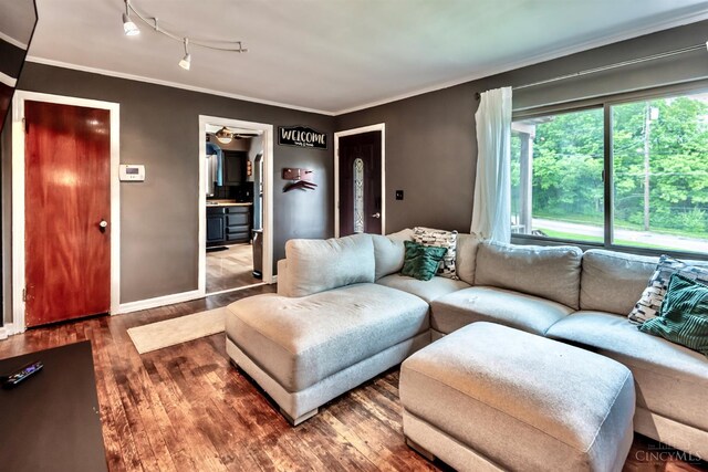5411 Lester Rd, Cincinnati, OH 45213 - living area with wood finished floors, crown molding, rail lighting, and baseboards