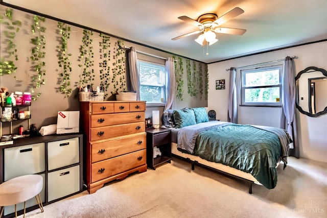 5411 Lester Rd, Cincinnati, OH 45213 - bedroom featuring multiple windows, ornamental molding, light colored carpet, and ceiling fan