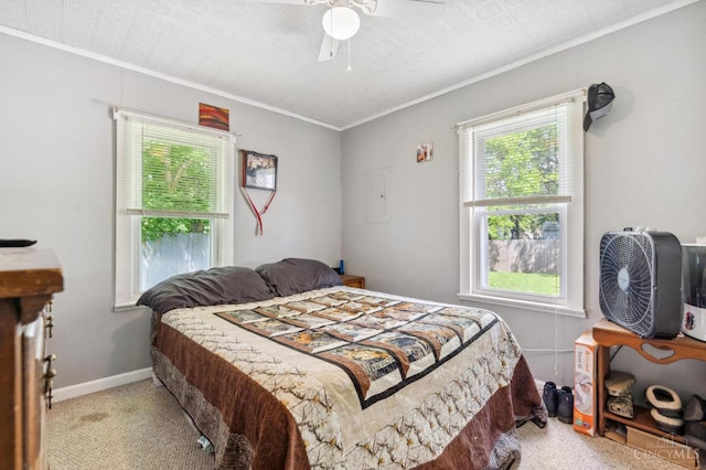 849 E Columbus St, Wilmington, OH 45177 - bedroom with crown molding, multiple windows, carpet floors, ceiling fan, and baseboards