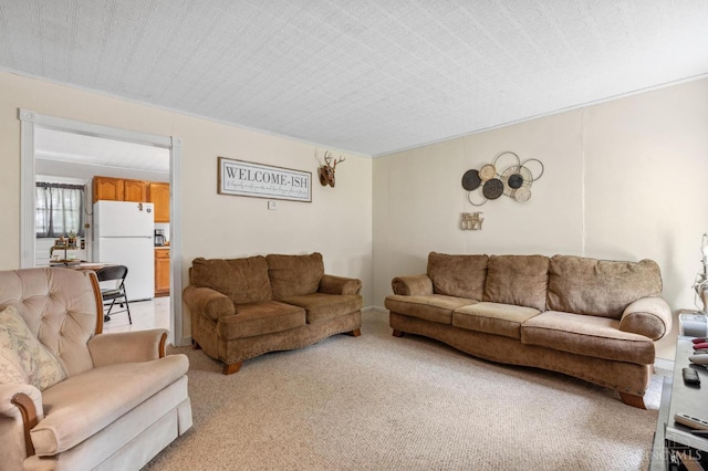849 E Columbus St, Wilmington, OH 45177 - living area featuring light colored carpet