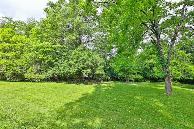 1885 Forest View Ct, Green Twp, OH 45233 - view of grassy yard