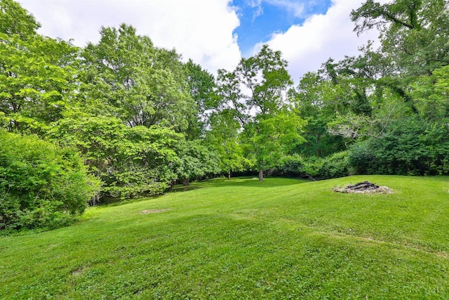 1885 Forest View Ct, Green Twp, OH 45233 - view of grassy yard