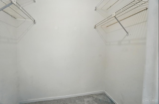 3914 Brookville Dr, Batavia Twp, OH 45102 - walk in closet featuring light carpet