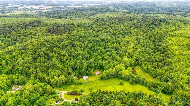 973 Umblebee Rd, Liberty Twp, OH 45613 - bird's eye view of a forest