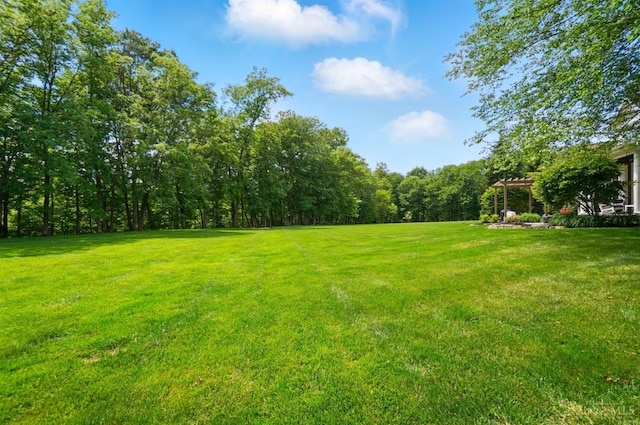 7757 Misty Meadows Ct, Harlan Twp, OH 45152 - view of green lawn