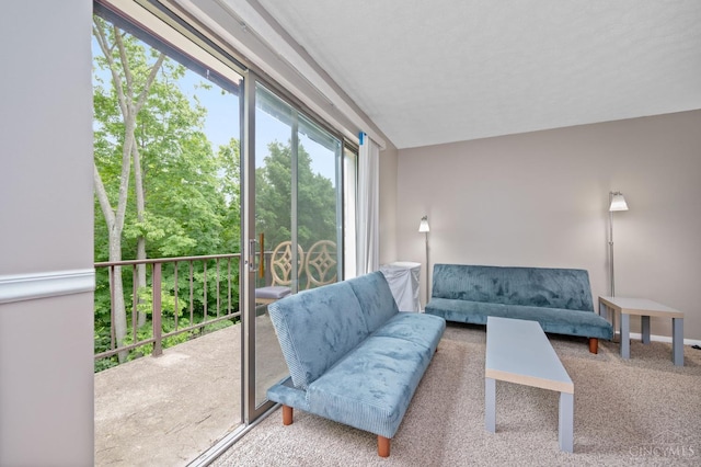 6604 Hearne Rd Unit 58, Green Twp, OH 45248 - living area featuring carpet floors