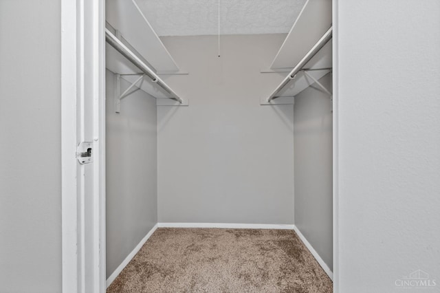 6604 Hearne Rd Unit 58, Green Twp, OH 45248 - walk in closet with carpet and attic access