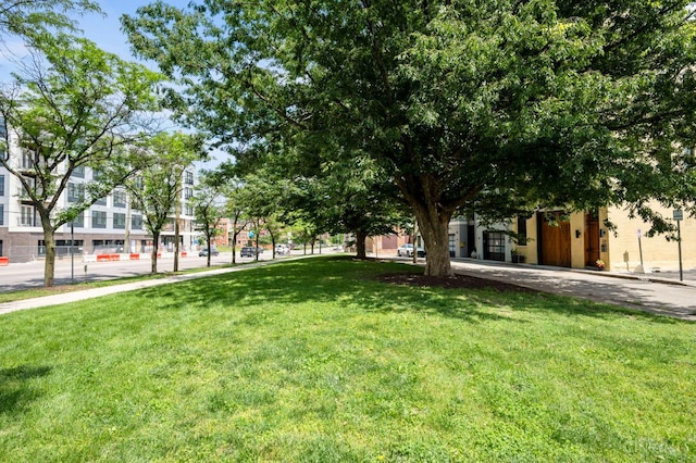221 Kemp Aly, Cincinnati, OH 45202 - photo 56