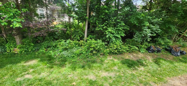 7638 Lake Pointe, Hamilton Twp, OH 45039 - view of nature