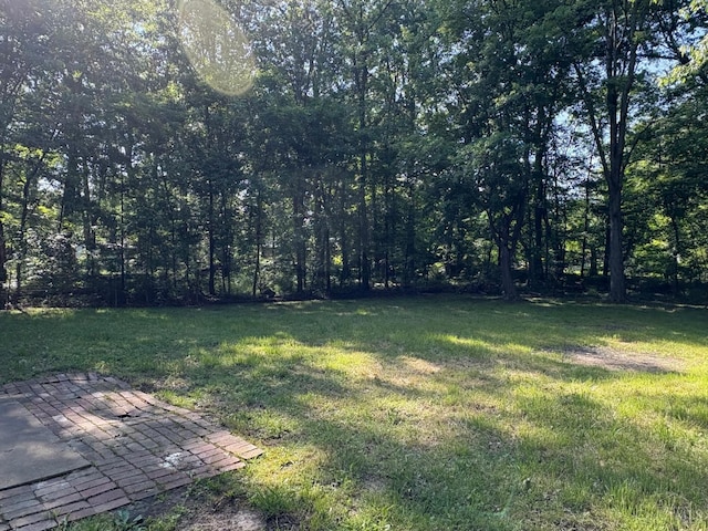 2307 Wilshire Cir, Stonelick Twp, OH 45122 - view of green lawn