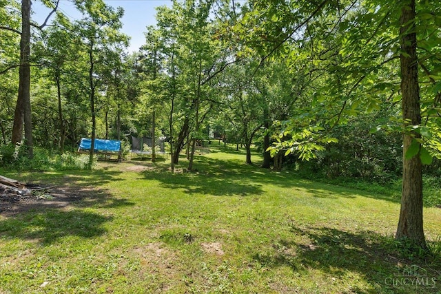 7066 Weidner Rd, Clearcreek Twp, OH 45066 - view of grassy yard