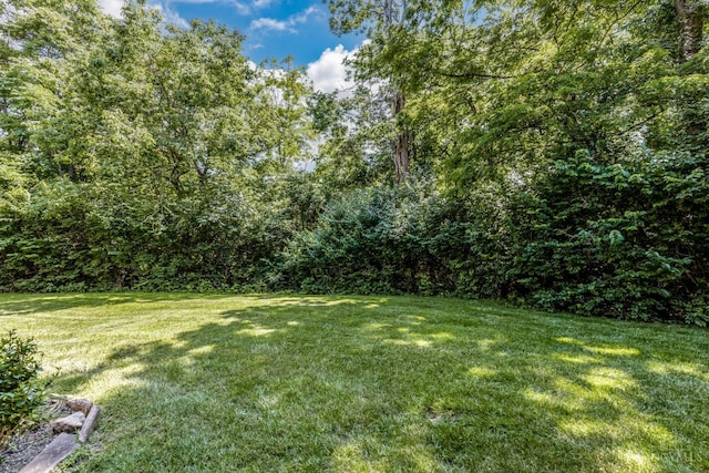 1627 Braintree Dr, Anderson Twp, OH 45255 - view of green lawn featuring a wooded view