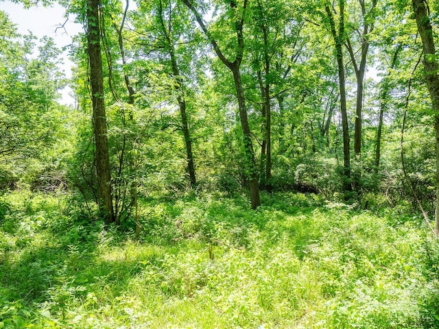 5899 Jordan Ln, Columbia Twp, OH 45227 - photo 10
