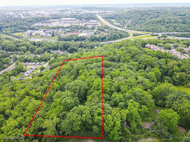 5899 Jordan Ln, Columbia Twp, OH 45227 - photo 1