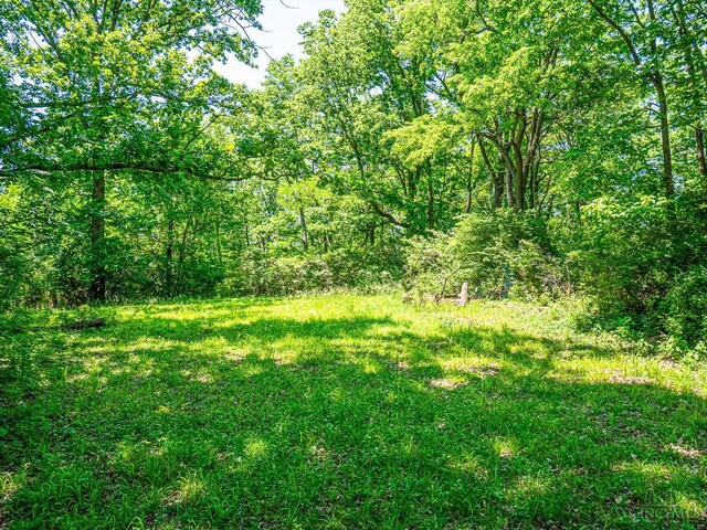 5899 Jordan Ln, Columbia Twp, OH 45227 - photo 8
