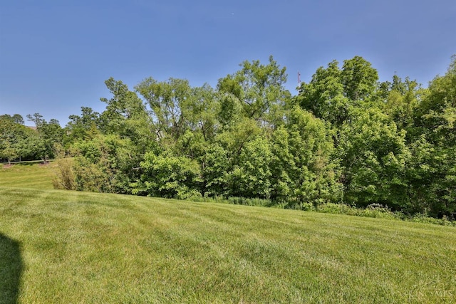 715 Castlegate Ln Unit 102, Springfield Twp, OH 45231 - view of grassy yard with a view of trees