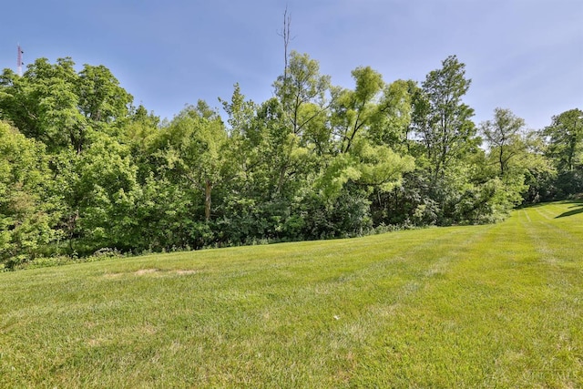 715 Castlegate Ln Unit 102, Springfield Twp, OH 45231 - view of green lawn