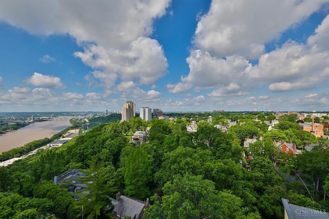 2401 Ingleside Ave Unit 10D, Cincinnati, OH 45206 - aerial view of a tree filled landscape