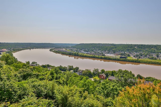 2401 Ingleside Ave Unit 10D, Cincinnati, OH 45206 - drone / aerial view of a nearby body of water and a forest
