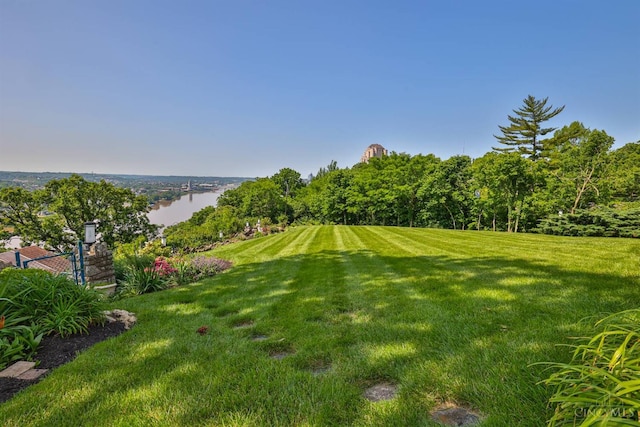 2401 Ingleside Ave Unit 10D, Cincinnati, OH 45206 - view of grassy yard