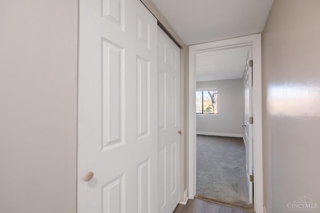 452 Grand Ave Unit 6, Cincinnati, OH 45205 - photo 11