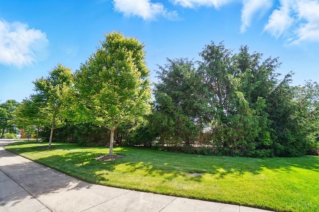 5757 W Fork Rd, Green Twp, OH 45247 - view of green lawn