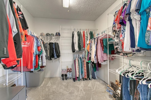 3169 John Gray Rd, Colerain Twp, OH 45251 - walk in closet featuring carpet