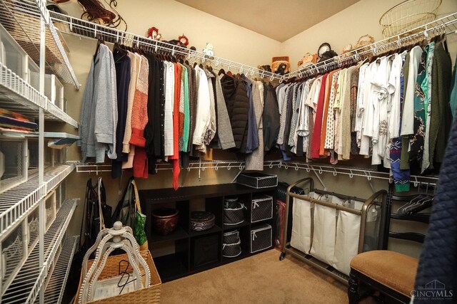 4625 Guildford Dr, West Chester, OH 45069 - walk in closet featuring carpet