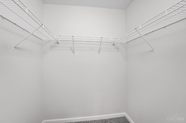 2193 Phillips Rd, Union Twp, OH 45036 - walk in closet featuring carpet flooring