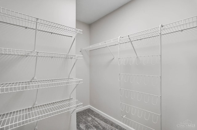 2193 Phillips Rd, Union Twp, OH 45036 - walk in closet with carpet