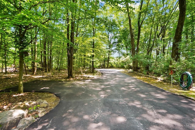 2193 Phillips Rd, Union Twp, OH 45036 - view of asphalt street